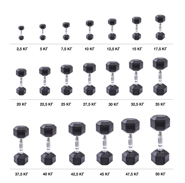 Гексагональні гантелі LivePro Hex Dumbbell LP8005-5 фото