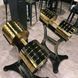 Гантеля хромована золота XMASTER 160 кг GoldColoredChromeFixedSteelDumbbells160kg фото 2