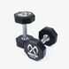 8-кутні поліуретанові гантелі преміум XMASTER Xmaster8SidedDumbbell2.5kg фото 1