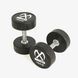 Гантелі круглі прорезинені преміум XMASTER XmasterUrethaneDumbbell2.5kg фото 1
