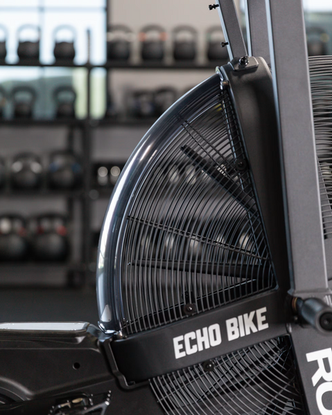 Вітровик для велотренажеру Rogue Echo Bike V3.0 Wind Guard - 75 Degrees - V3 IP0940-3-75M фото