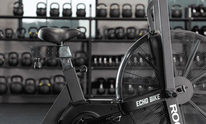 Вітровик для велотренажеру Rogue Echo Bike V3.0 Wind Guard - 75 Degrees - V3 IP0940-3-75M фото